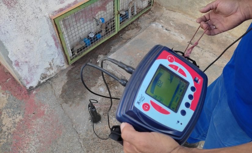 Caça Vazamento Eletrônico